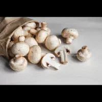 مدیر فروش ( ویزیتور) قارچ