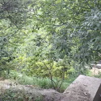 باغ-فروشی