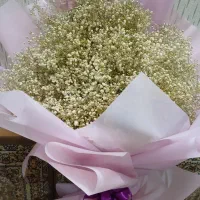 دسته گل ژیپسوفیلا زیبا قد ۱۵۰