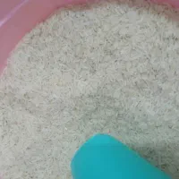 برنج دانه متوسط کشتی نشان کاشت زاهدان.