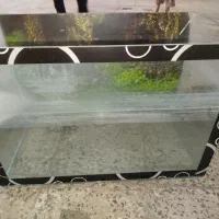 آکواریوم همراه پمپ و تزیینات|ماهی|ملایر, |دیوار