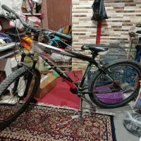 دوچرخه ویوا 26 تمیز فروشی Viva