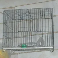 قفس پرنده و پوشال لانه