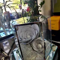 وسایل نامزدی|خدمات پذیرایی، مراسم|کرمانشاه, |دیوار