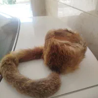 کلاه روسی دم روباهی