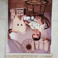 تابلو فرش    شراره|تابلو فرش|رضوانشهر, |دیوار