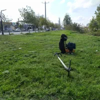 علف زنی و هرس کردن با تیم حرفه ای و قیمت مناسب