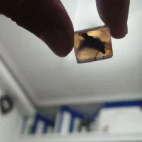 سنگ نگین انگشتر|جواهرات|مشهد, سرافرازان|دیوار