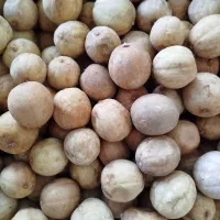 لیمو خشک جهرم