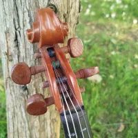 ویالون ،4/4، کارکرد خیلی کم،|ویولن|رامسر, |دیوار