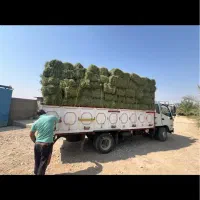 یونجه|خدمات باغبانی و درختکاری|بهبهان, |دیوار