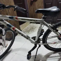 دوچرخه ویوا viva