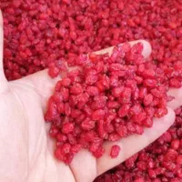 زرشک زعفران عناب بیرجند قائن (ضمانت مرجوعی)|خوردنی و آشامیدنی|تهران, قصر فیروزه ۱|دیوار