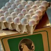 پخش تخم مرغ     بالای 5 کارتن      تحویل لوکیشن