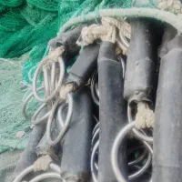 تورغلایه|ماهیگیری|بندرلنگه, |دیوار