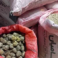 لوبیا چیتی تازه|خوردنی و آشامیدنی|قصابه, |دیوار