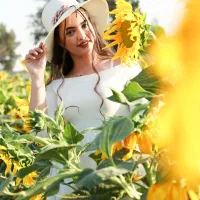 آتلیه فیلم و عکس سمفونی