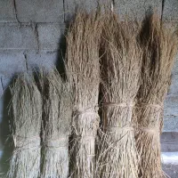 کلوش