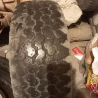 لاستیک پاترول