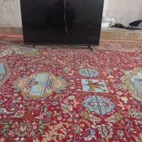 تلویزیون