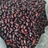 لوبیا قرمز|خوردنی و آشامیدنی|اصفهان, کوی گلزار|دیوار