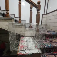 قفس فلزی پرنده