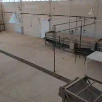 فروش-کارخونه-بسته-بندی-زیتون