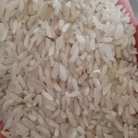 برنج پاکستانی ۱۰ کیلو