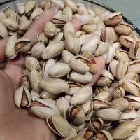 تخفیف پسته شب یلدا|خوردنی و آشامیدنی|تهران, افسریه جنوبی|دیوار