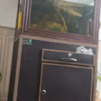آکواریوم رایگان