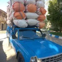 کاه|لوازم جانبی حیوانات|مسجد سلیمان, |دیوار