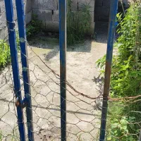 سگ .اسب آگهی بخونید|سگ|خرمآباد (تنکابن), |دیوار