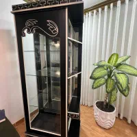 ویترین سالم