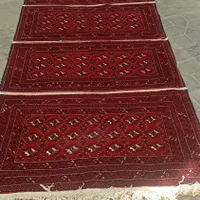 پادری دستباف|پادری|تربت‌حیدریه, مظفریه|دیوار