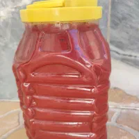 رب خانگی اصلی