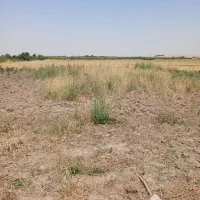 زمین-مسکونی