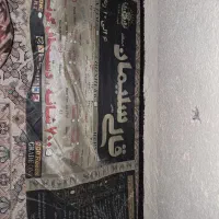 قالی ۱۲متری در حد نو|فرش|اهواز, معین زاده|دیوار