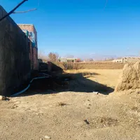 زمین ۱۴۵۰ متری با شرایط عالی در روستا|فروش زمین و ملک کلنگی|شاهین‌شهر, فردوسی|دیوار