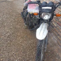 احسان شکاری مزایده