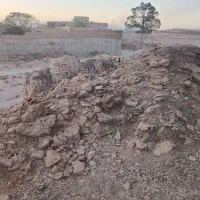 بارمرغ وگوسفند قر قاتیه|حیوانات مزرعه|سبزوار, گلشن|دیوار