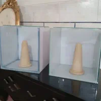 آکواریوم خاص|ماهی|فلاورجان, |دیوار