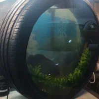 آکواریوم طرح لاستیک|ماهی|همدان, |دیوار
