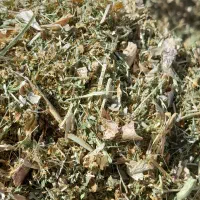 کاه لوبیا درجه عالی