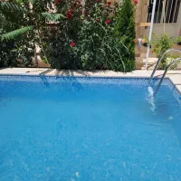 جارو استخری در اسرع وقت سهیلیه تهراندشت|خدمات نظافت|چهارباغ, |دیوار