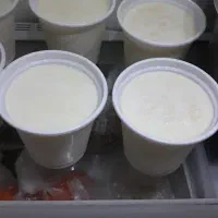 ماست محلی