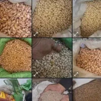 محصولات طبیعی