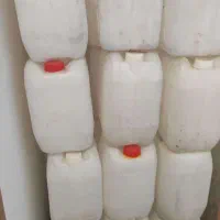 فروش فوری گالن 20 لیتری حمل روغن خوراکی هر عدد 25|ظروف نگهدارنده، پلاستیکی، یک‌بارمصرف|بابل, |دیوار