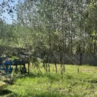 فروش  یا رهن ویلایی دوهزار متری سند دار|فروش خانه و ویلا|رشت, لاکان شهر|دیوار