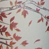 وکالت