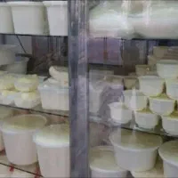 استخدام
